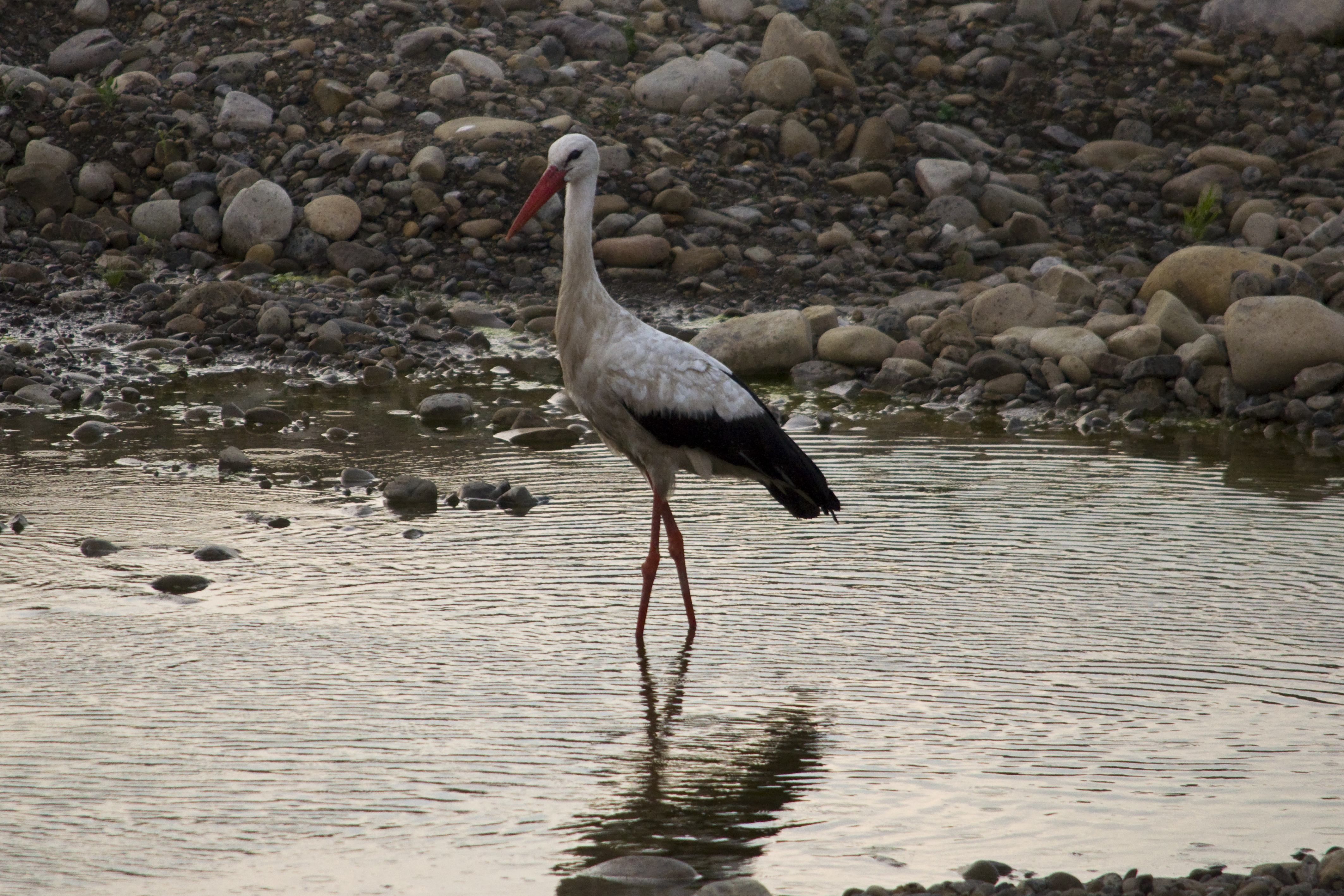 Прогноз погоды на субботу 2 июля 2022 – все города - где дожди и грозы Прогноз погоды на субботу 2 июля 2022 – все города - где дожди и грозы