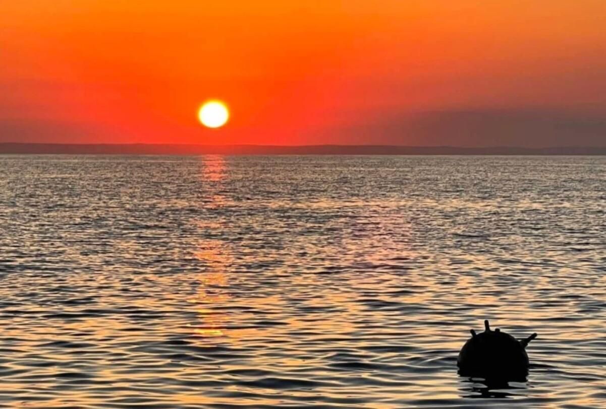 Росія замінувала Чорне море - у Болгарії знищили якірну міну Росія замінувала Чорне море - у Болгарії знищили якірну міну