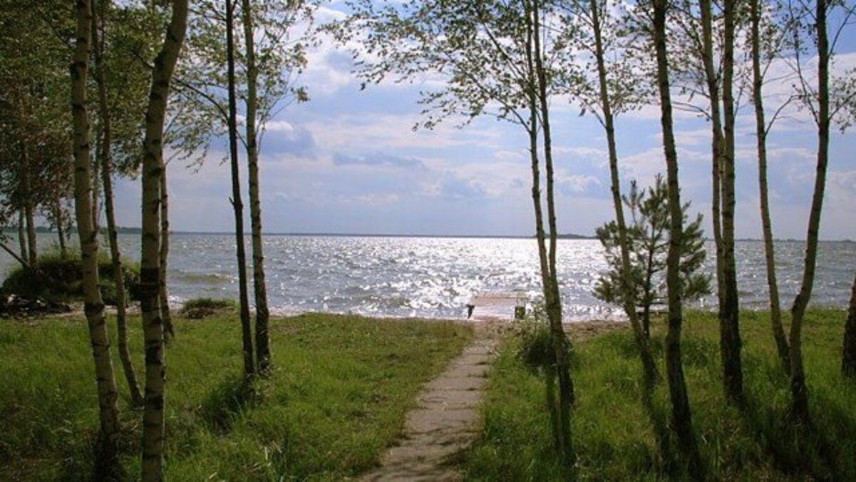 В озерах та річках на Волині виявили кишкову паличку В озерах та річках на Волині виявили кишкову паличку