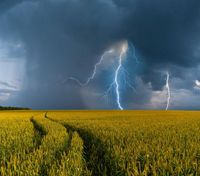 Українців знову попередили про град, зливи й шквали: де чекати негоди