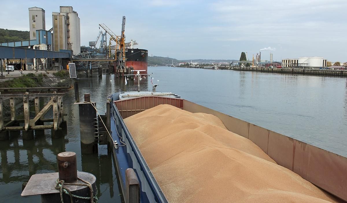 В Туреччині затримали судно з українським зерном