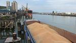 Турция задержала судно с краденым россиянами зерном: на днях будут решать его судьбу