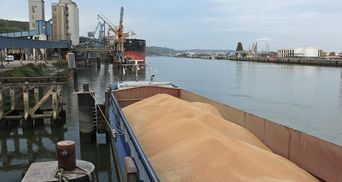 Турция задержала судно с краденым россиянами зерном: на днях будут решать его судьбу