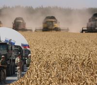 Чтобы не отобрали россияне: фермеры в Херсонской области пытаются оплатить аренду земли зерном