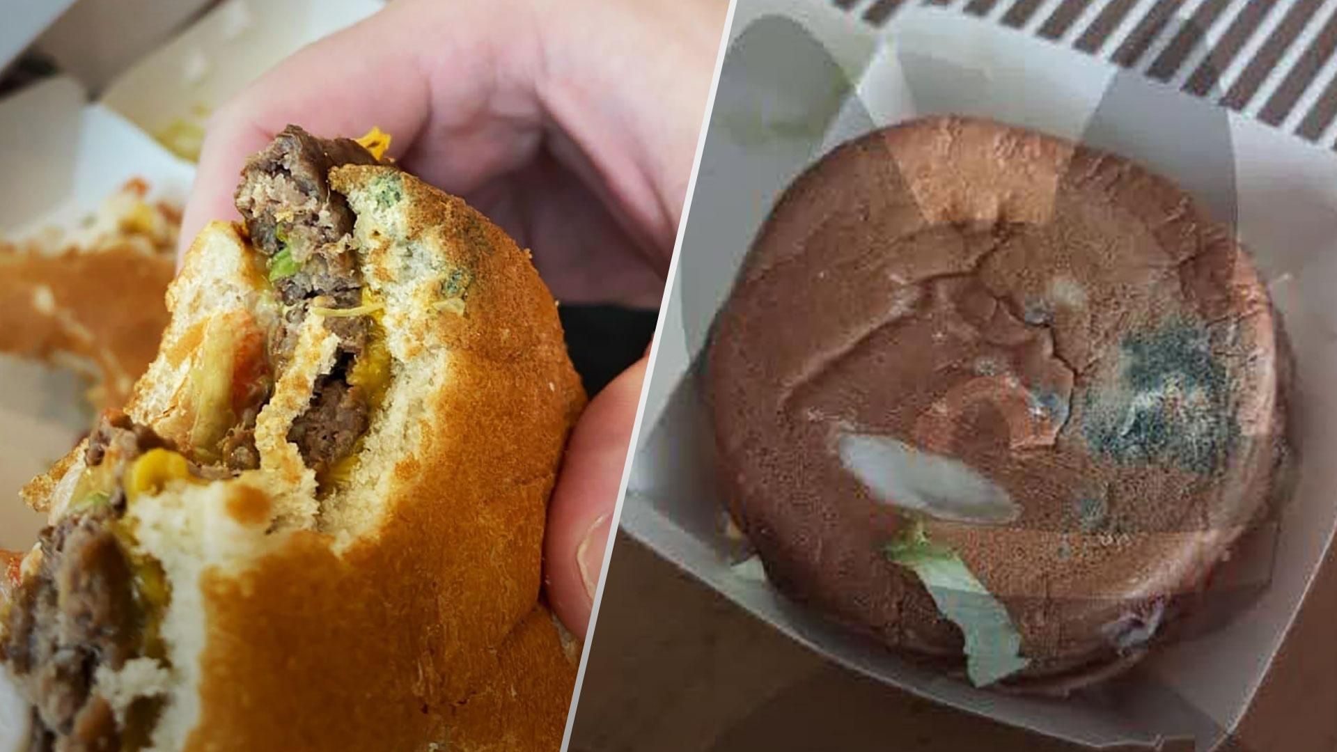 Во Вкусно и точка продают бургеры с насекомыми - фото Во Вкусно и точка продают бургеры с насекомыми - фото