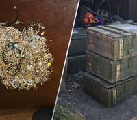 Експравоохоронці пограбували обстріляне сховище із золотом: вкрали коштовностей на 90 мільйонів