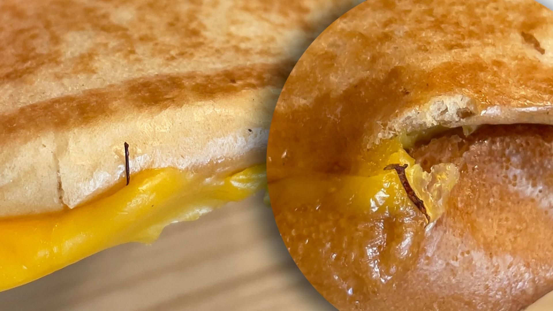 У Вкусно і точка продають бургери з комахами - фото У Вкусно і точка продають бургери з комахами - фото