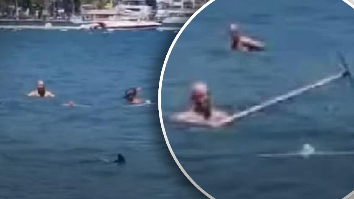 Туристи в Мармарисі відбивалися від акули шваброю