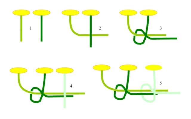Плетіння вінка на Івана Купала 2022 Плетіння вінка на Івана Купала 2022
