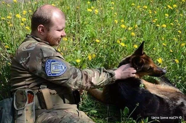Мир животных Собаки Украинские военные Пески