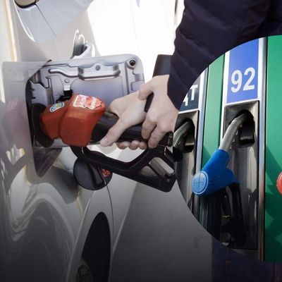 Ціна бензину та дизелю на різних АЗС 7 липня: детальна інфографіка
