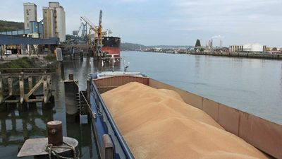 Российское судно с краденым украинским зерном вышло из порта Турции: реакция МИД
