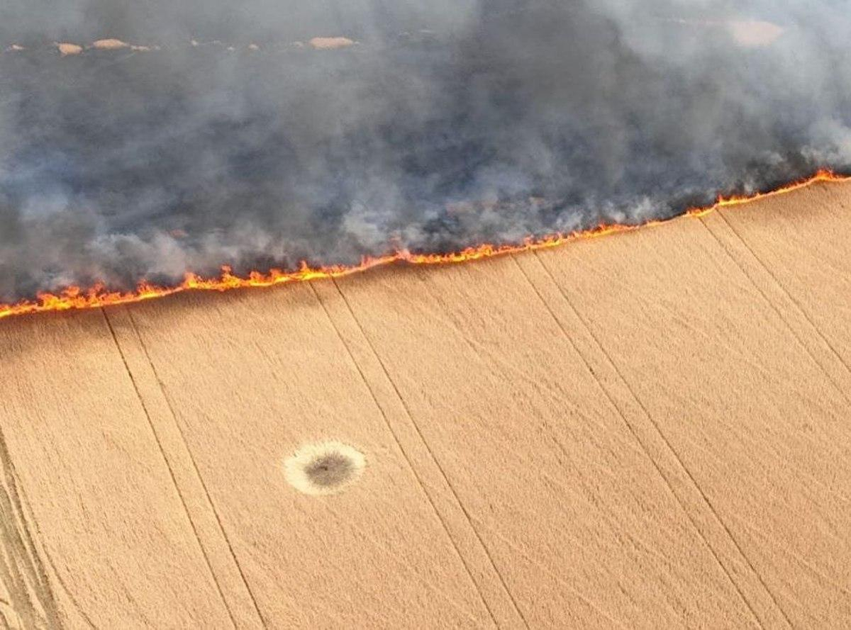 Російські окупанти випалюють в Україні поля перед жнивами