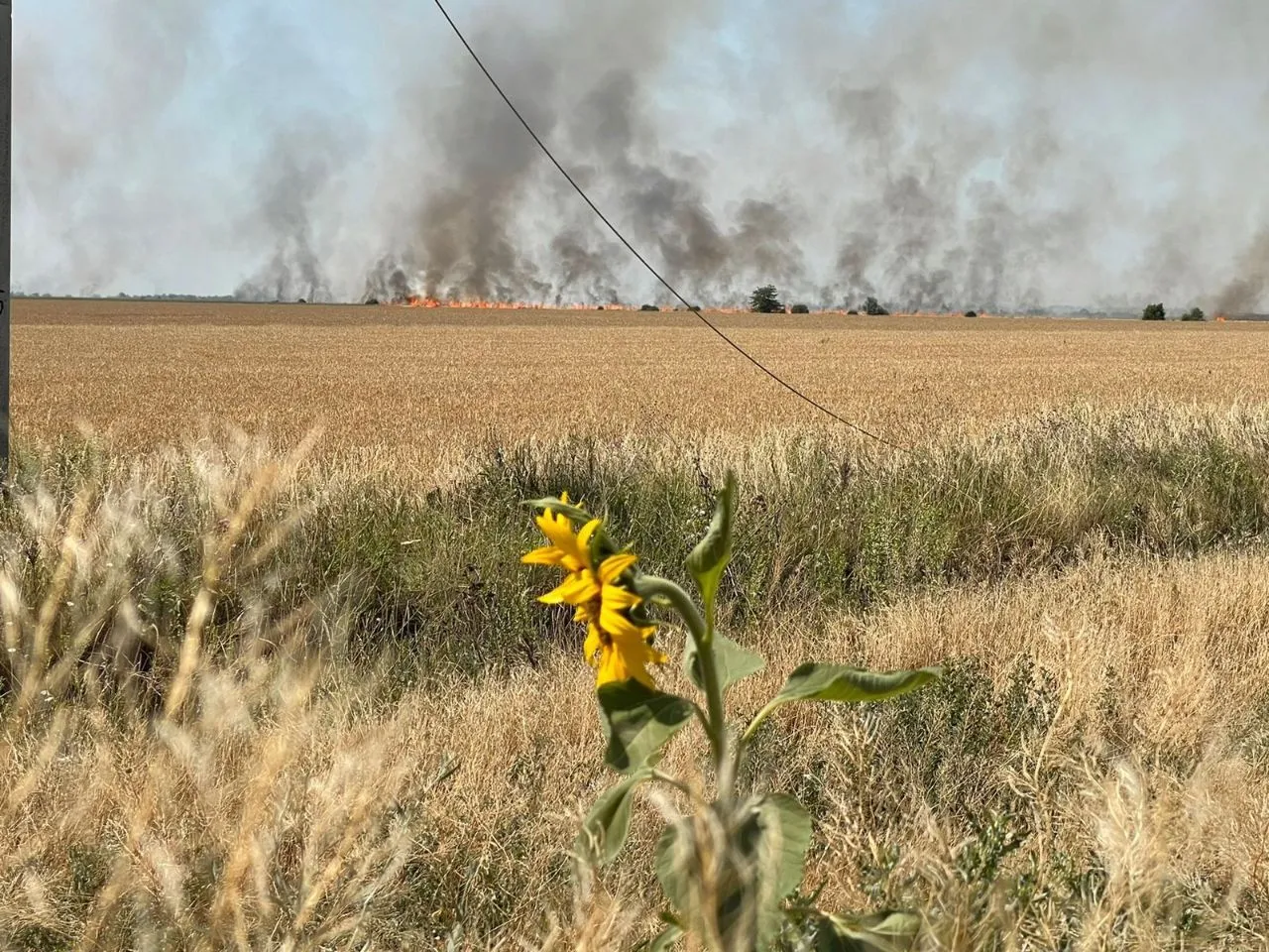 Війна Росії з Україною, Росія знищує врожай, пожежі на полях