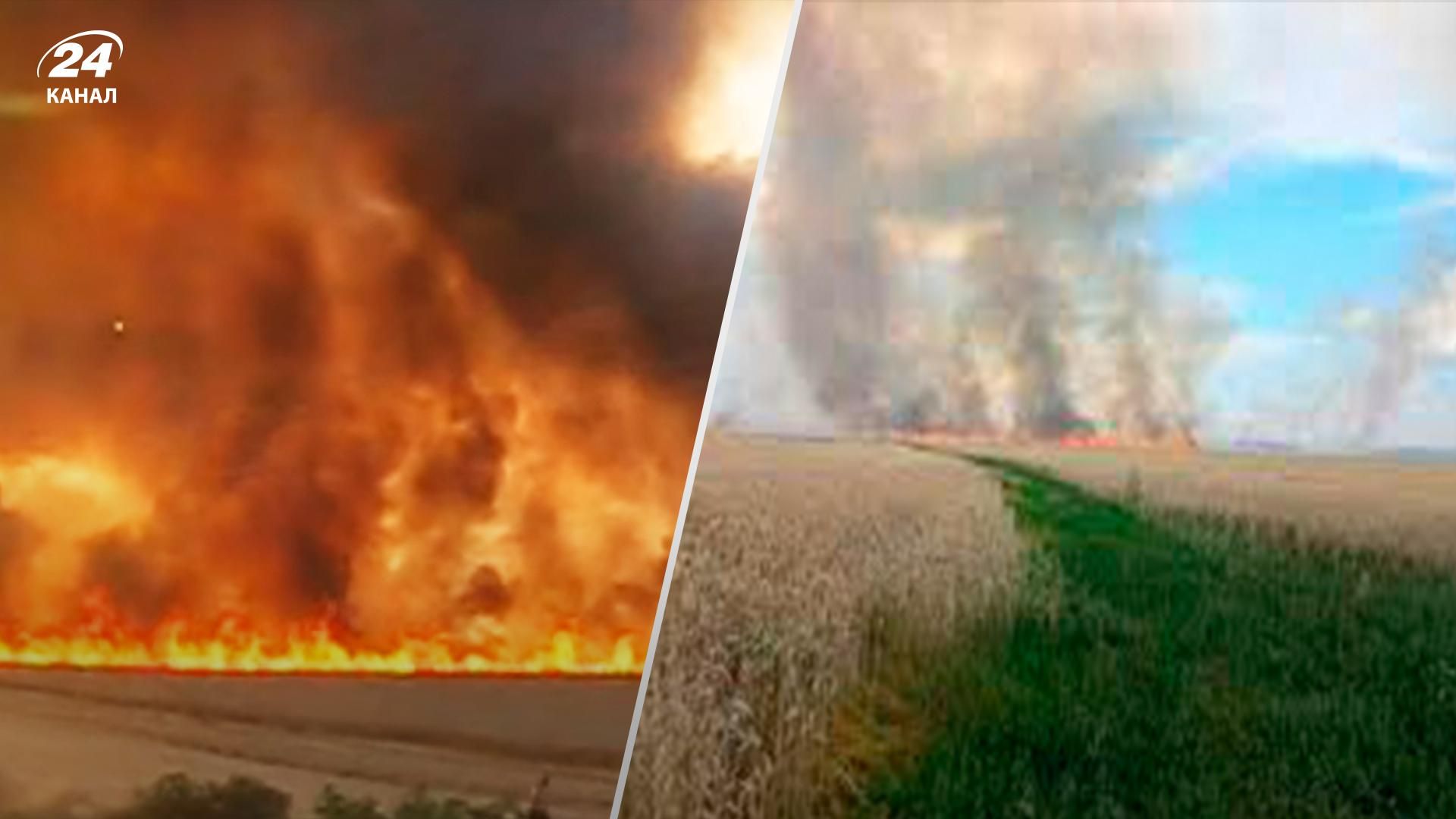 Пожары на полях в Херсонской и Николаевской областях из-за обстрелов - что известно - 24 Канал