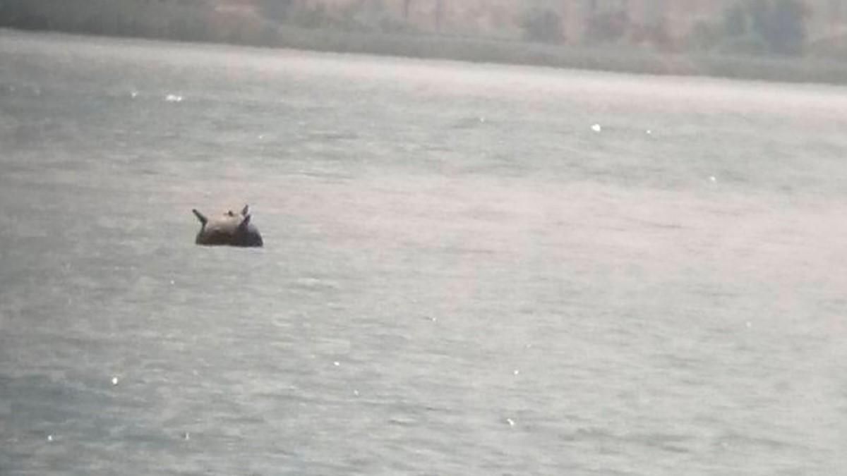 ВМС ліквідували дві ворожі дрейфуючі міни у Чорному морі ВМС ліквідували дві ворожі дрейфуючі міни у Чорному морі