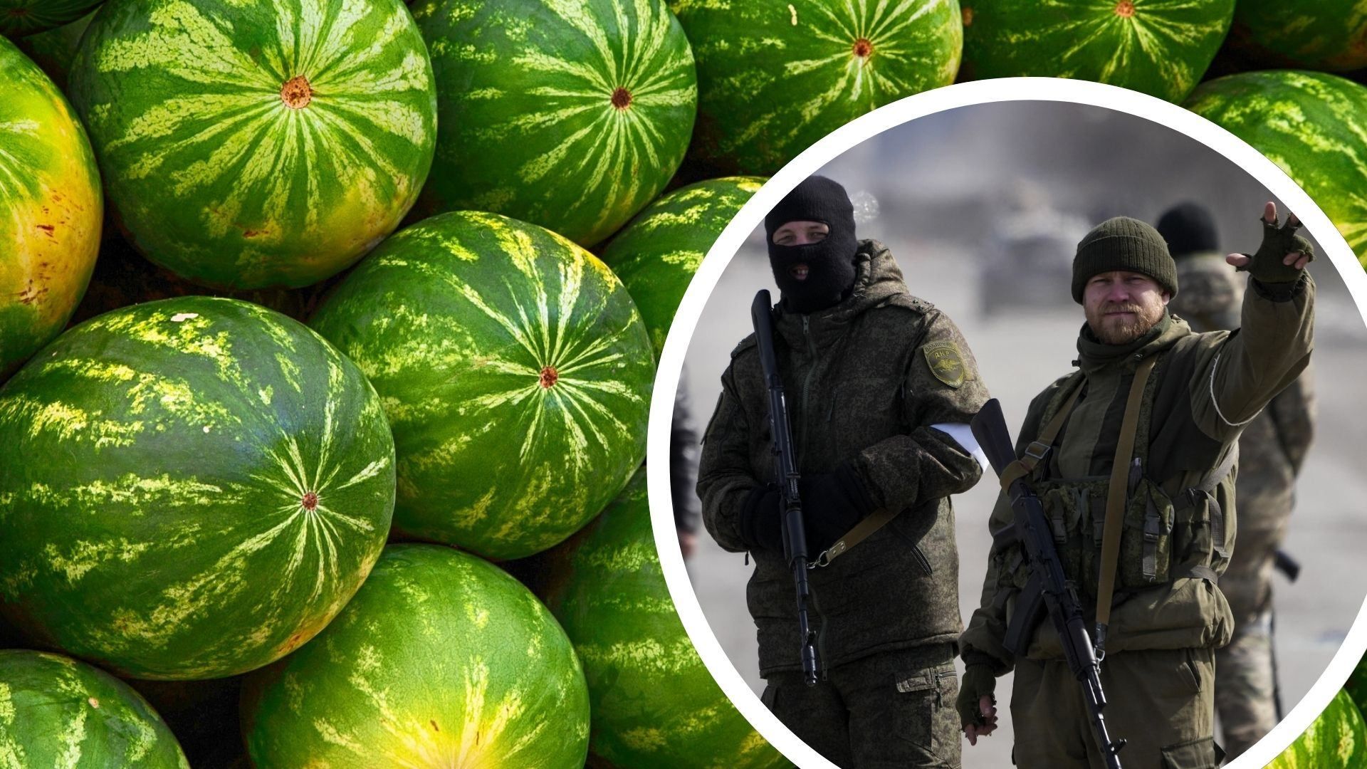 росіяни крадуть херсонські кавуни росіяни крадуть херсонські кавуни