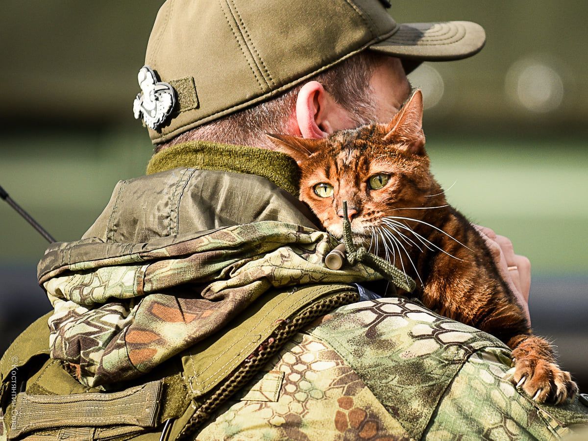 Расстрел собаки в Днепре - украинские военные осудили жестокий поступок мужчины Расстрел собаки в Днепре - украинские военные осудили жестокий поступок мужчины