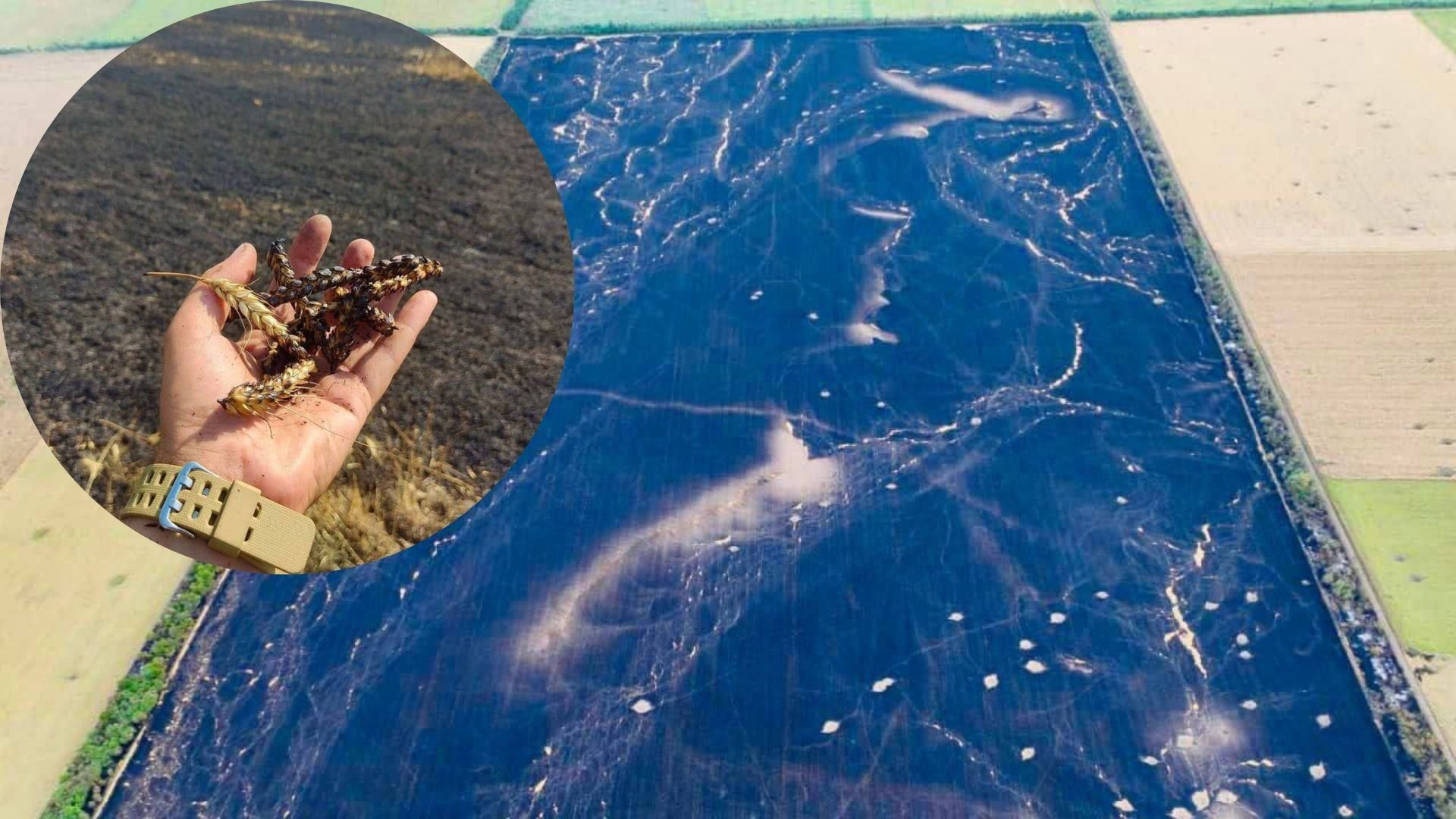 Враг сжигает украинский урожай Враг сжигает украинский урожай