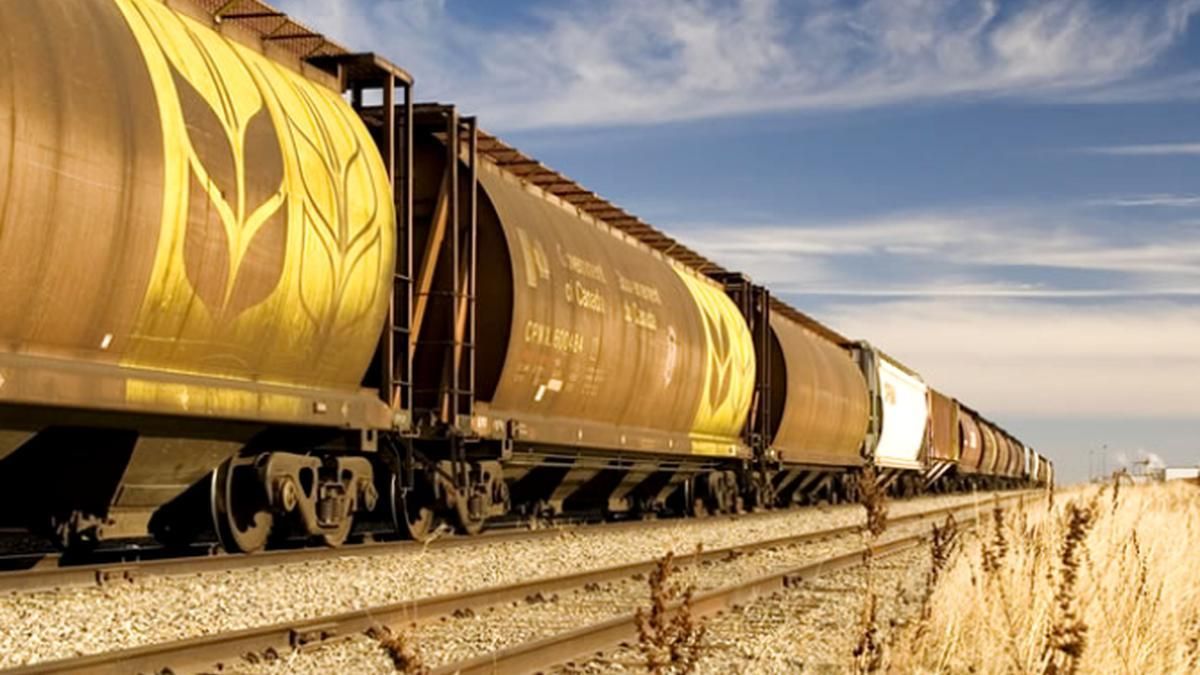 Окупанти заганяють запорізьких фермерів у безвихідь і масово вивозять крадений врожай Окупанти заганяють запорізьких фермерів у безвихідь і масово вивозять крадений врожай