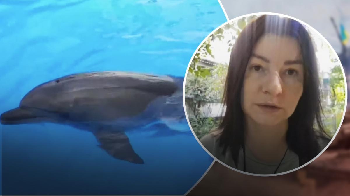 Кореспондентка з Харкова про тварин у харківському дельфінарії