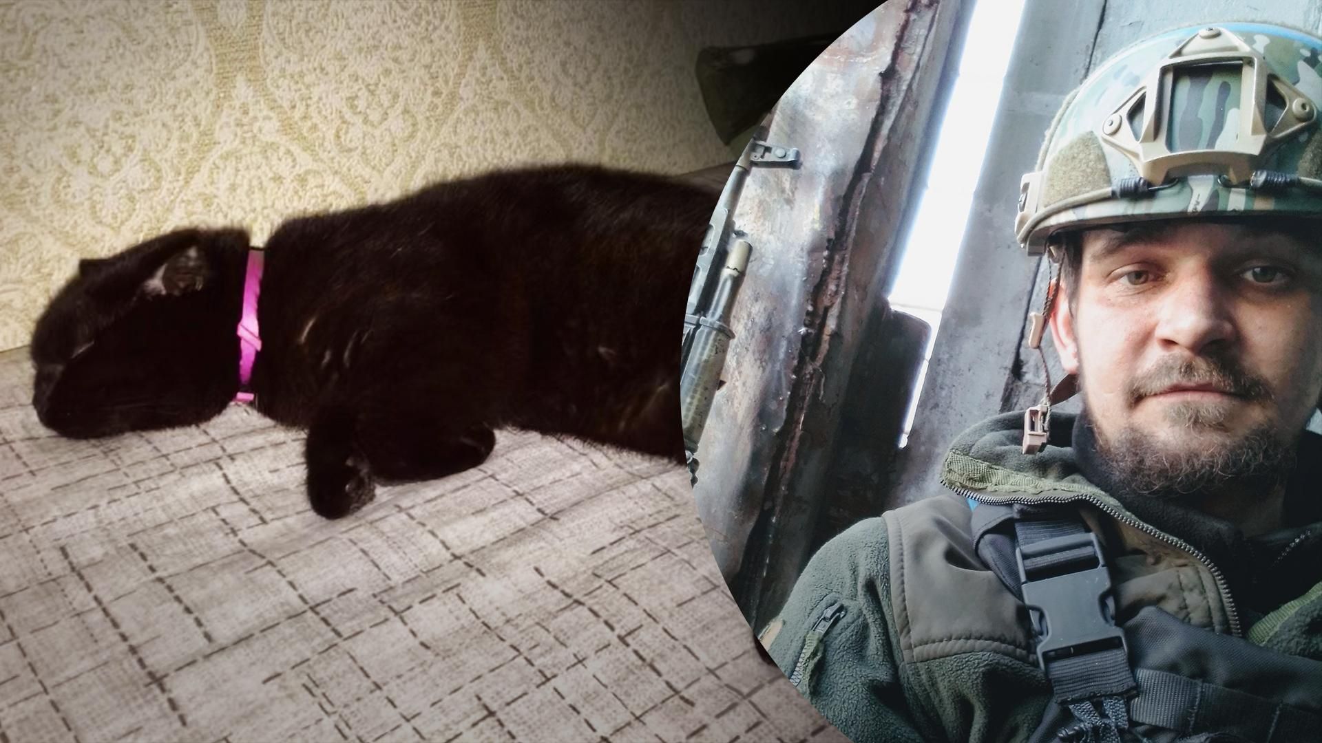 Невероятная история спасения кошки Даниила Сафонова из Мариуполя Невероятная история спасения кошки Даниила Сафонова из Мариуполя