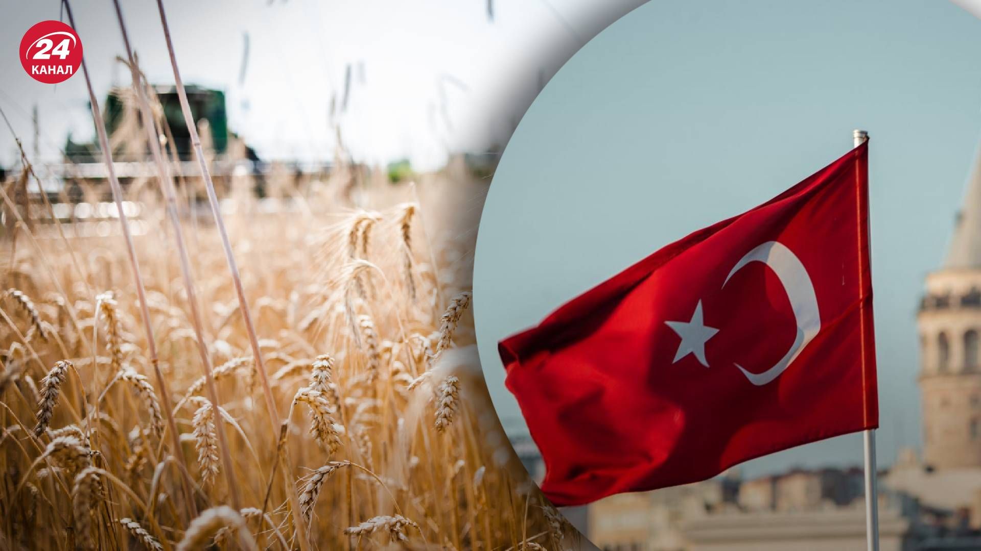  Экспорт зерна из Украины - в Стамбуле пройдет встреча под эгидой ООН - 24 Канал