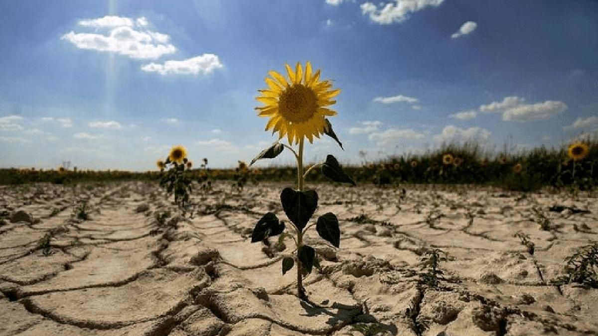 На Запорожье оккупанты провели собрание фермеров и рассказали о краже урожая На Запорожье оккупанты провели собрание фермеров и рассказали о краже урожая