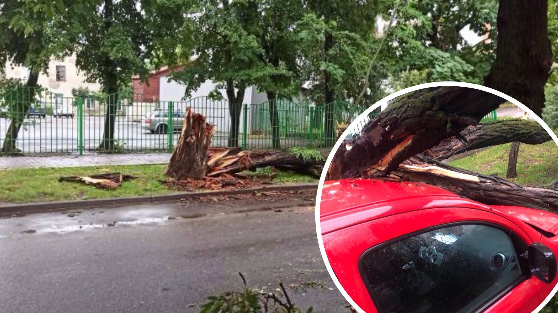 У Білорусі вирує негода 12 липня 2022 - сильний вітер повалив дерева - фото У Білорусі вирує негода 12 липня 2022 - сильний вітер повалив дерева - фото