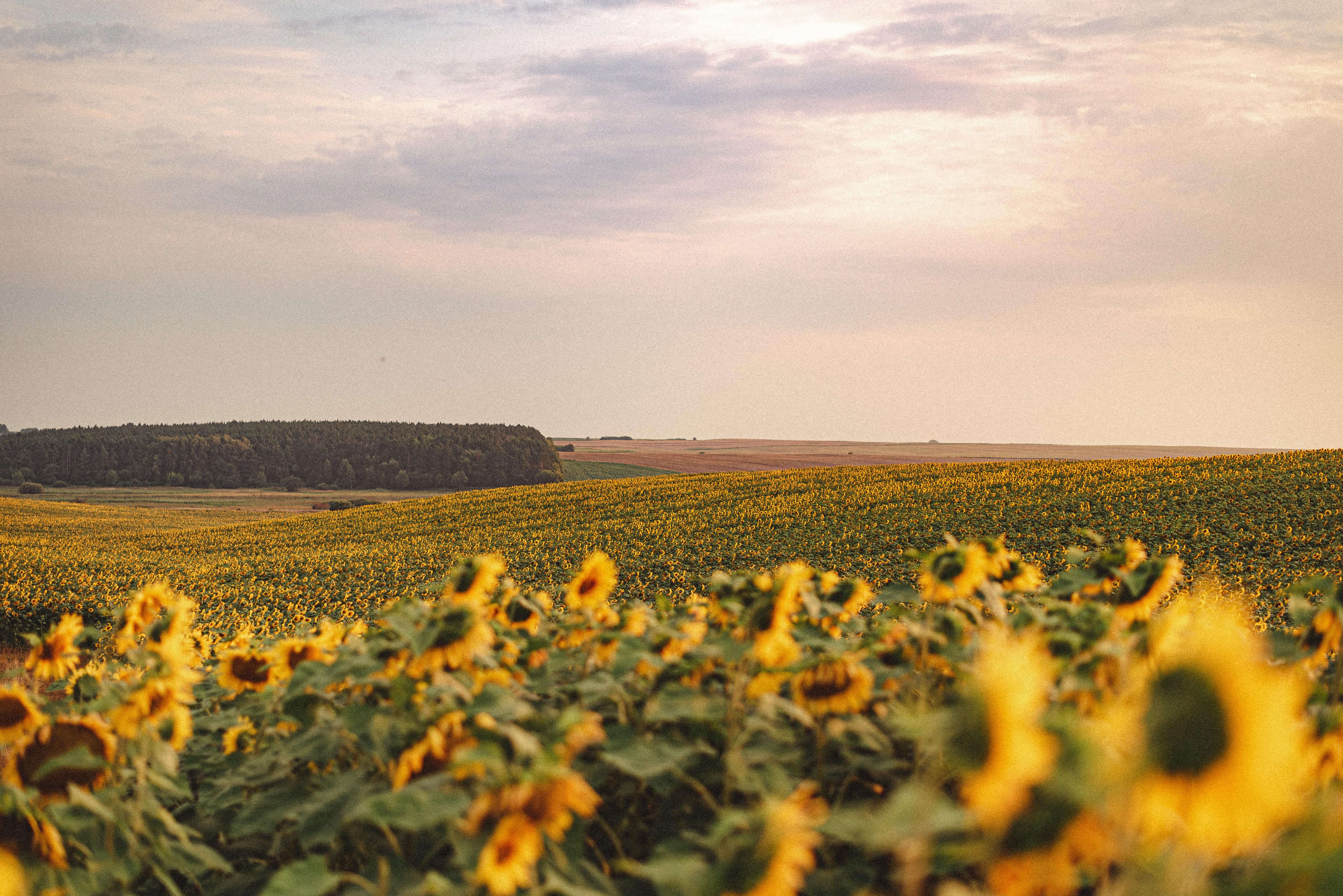 Прогноз погоды на выходные 16 – 17 июля - где будут дожди Прогноз погоды на выходные 16 – 17 июля - где будут дожди