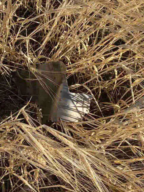 Втрати ворога Ракета Київ Біла Церква Втрати ворога Ракета Київ Біла Церква