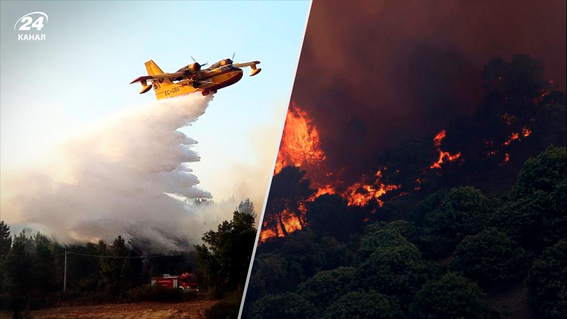 Пожежі в Європі - липень 2022 - горить Іспанія, Португалія, Франція - що відомо