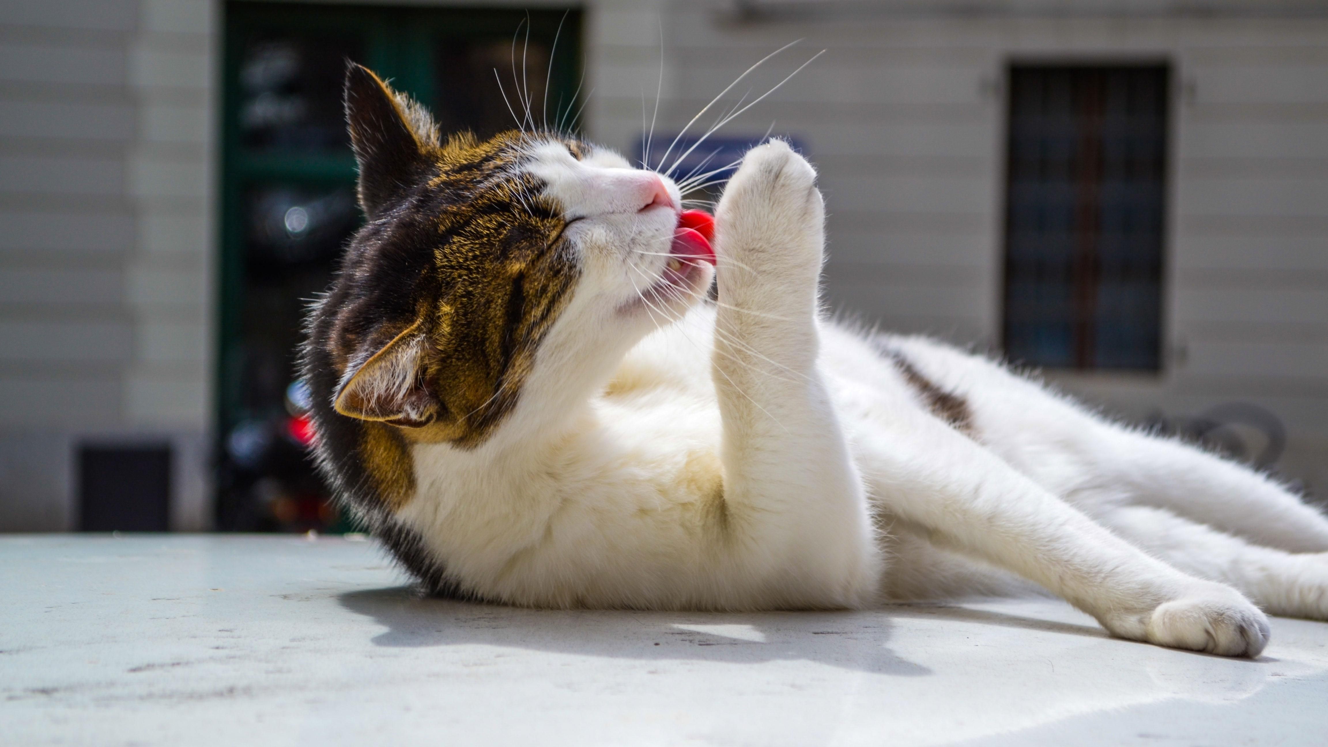 Прогноз погоды в Украине 18 июля – погода в Киеве, Львове, Одессе и других городах Прогноз погоды в Украине 18 июля – погода в Киеве, Львове, Одессе и других городах