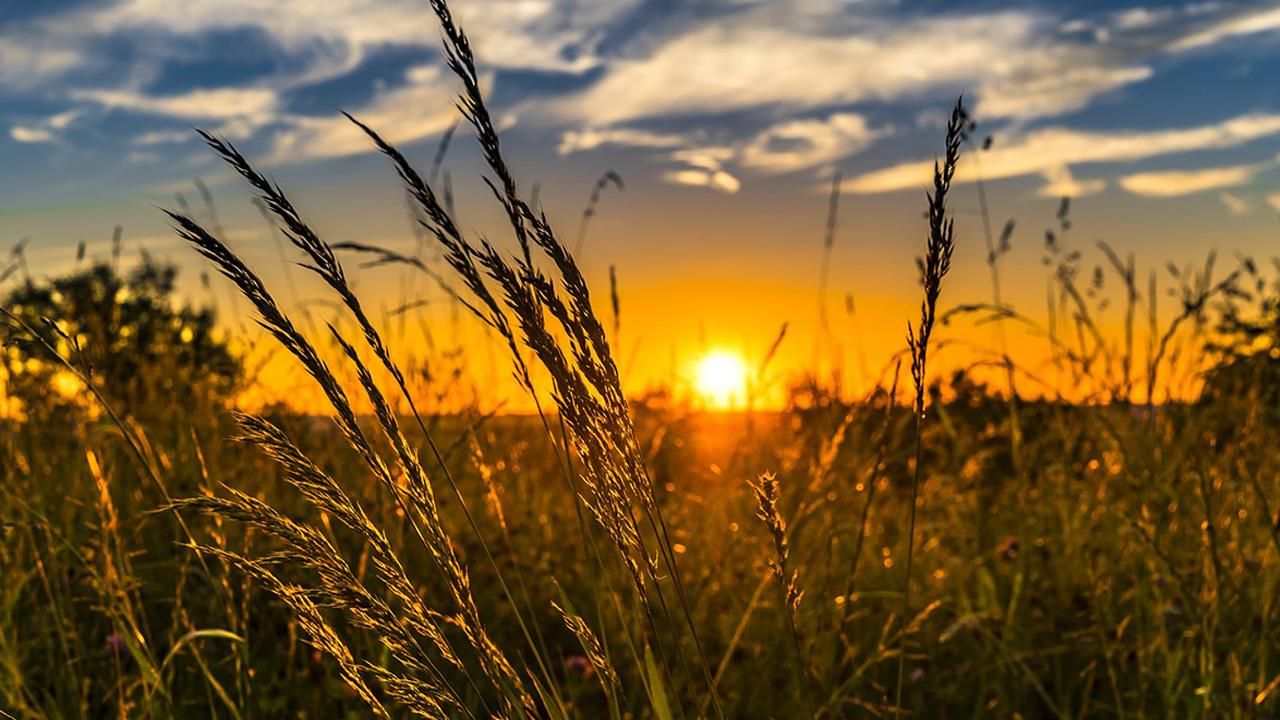 Погода в Україні 20 липня 2022 - прогноз в Києві, Дніпрі, Одесі, Львові, Харкові Погода в Україні 20 липня 2022 - прогноз в Києві, Дніпрі, Одесі, Львові, Харкові