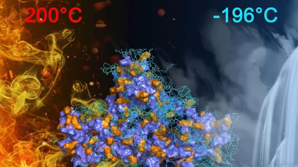 Иллюстративное фото Иллюстративное фото