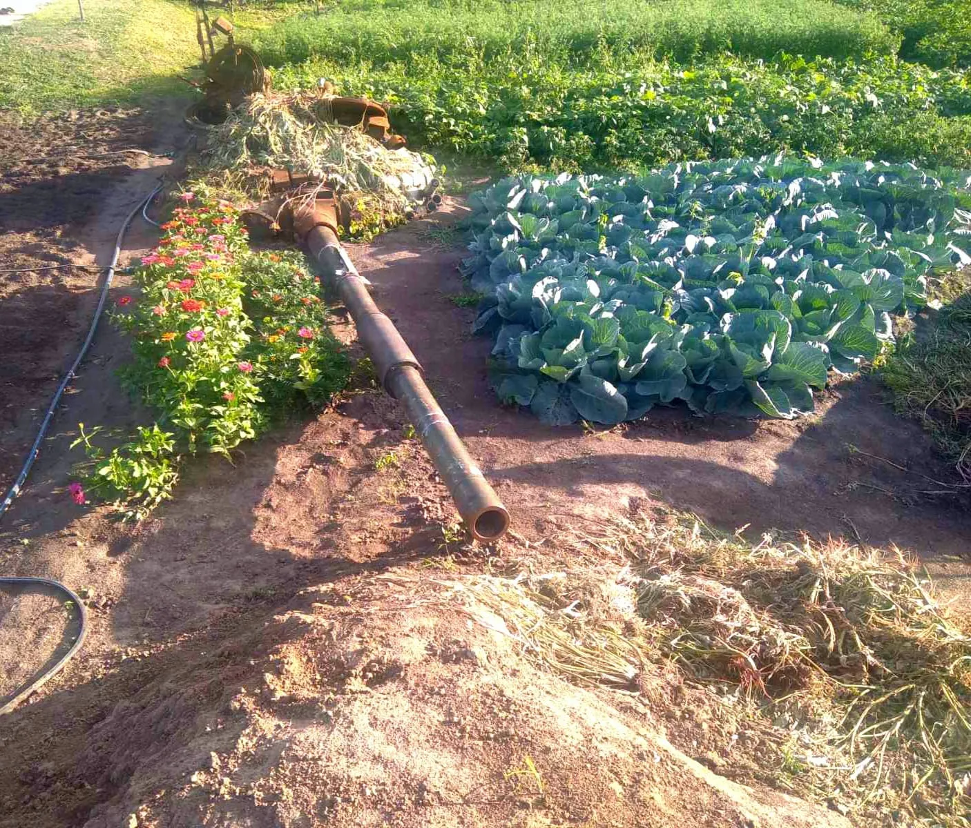 Велика Димерка Велика Димерка