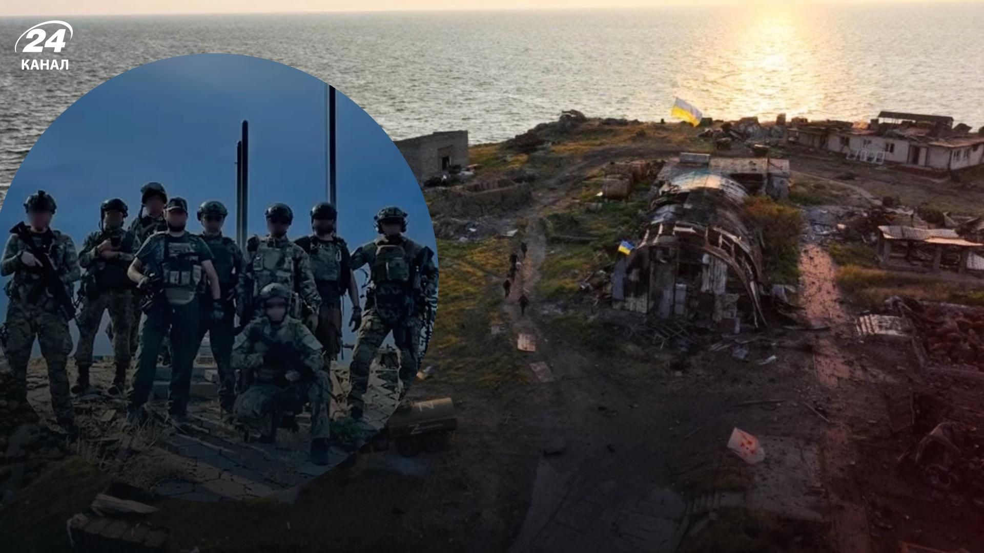 Освобождение острова Змеиный - что будут делать с котом, которого нашли военные Освобождение острова Змеиный - что будут делать с котом, которого нашли военные