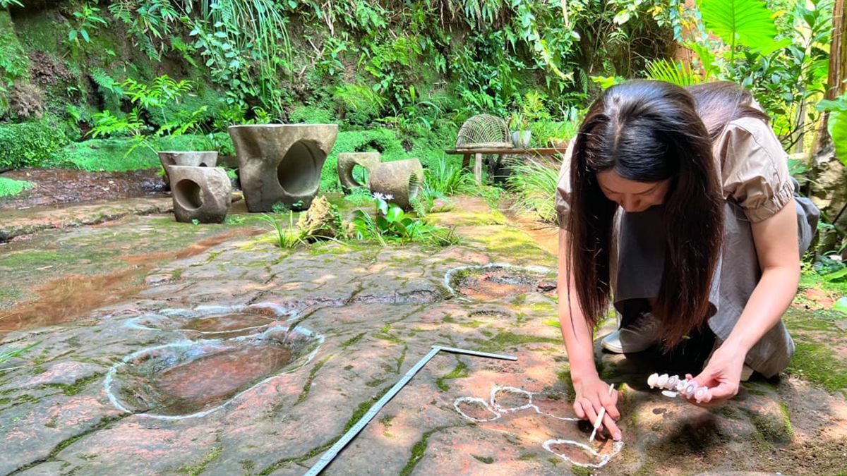 Во дворе китайского ресторана нашли следы динозавров, которым около ста миллионов лет - Техно Во дворе китайского ресторана нашли следы динозавров, которым около ста миллионов лет - Техно