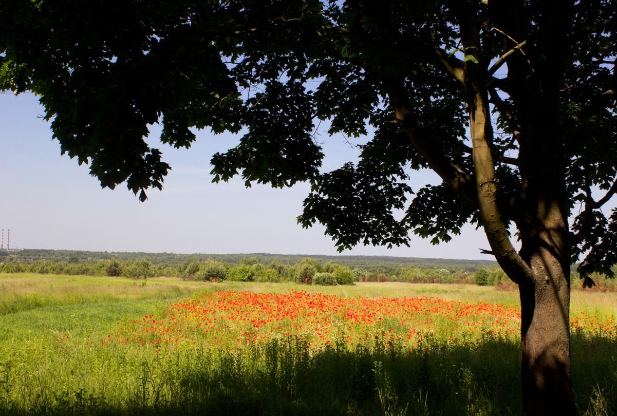 Прогноз погоды на 22 июля - какая будет погода в Украине Прогноз погоды на 22 июля - какая будет погода в Украине