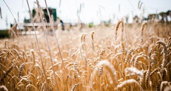 Україна, Туреччина та ООН підписали угоду щодо вивозу зерна, – Лещенко