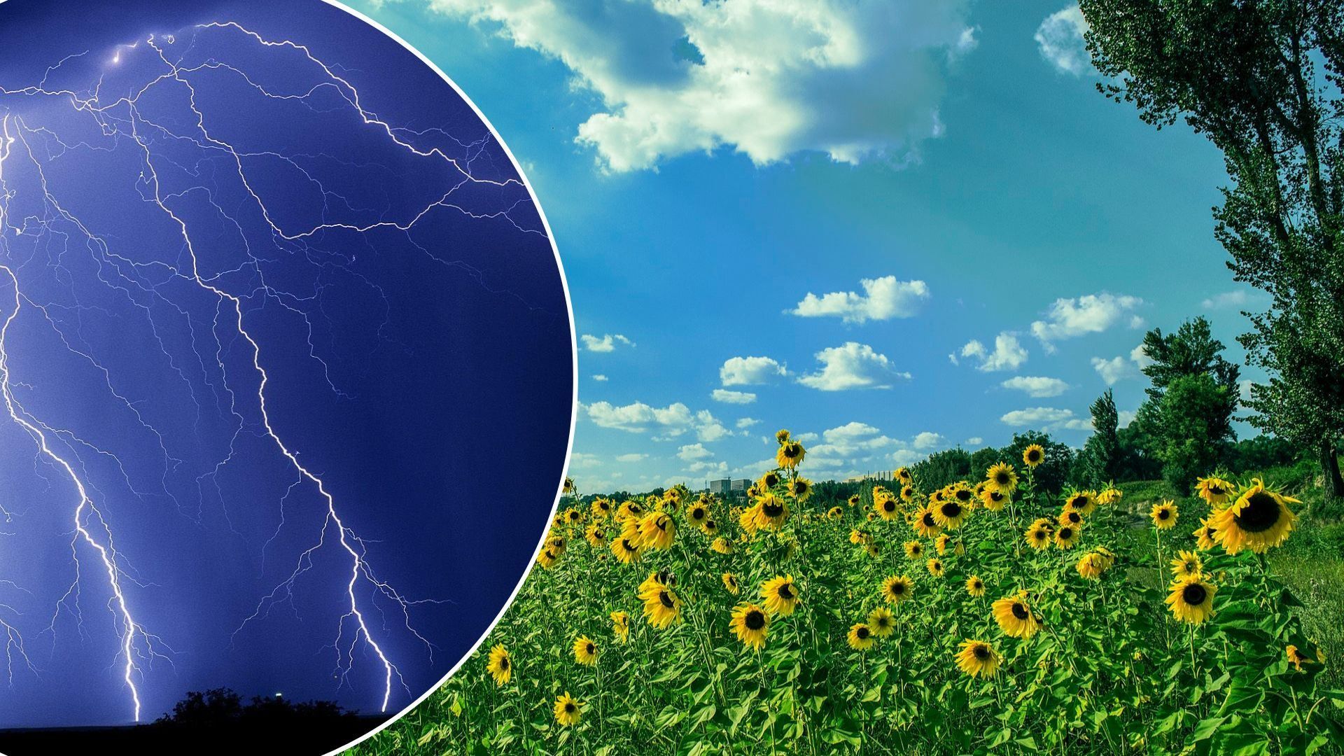 Прогноз погоды на выходные 23 – 34 июля - что говорят синоптики Прогноз погоды на выходные 23 – 34 июля - что говорят синоптики