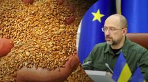 Це питання на мільярди доларів, – Шмигаль про розблокування морських портів України