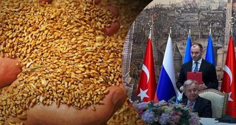 Наскільки вигідна Україні Стамбульська зернова угода: усе, що відомо про документ