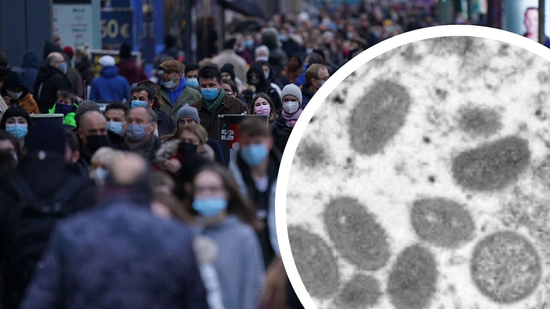 В мире распространяется обезьяна оспа В мире распространяется обезьяна оспа