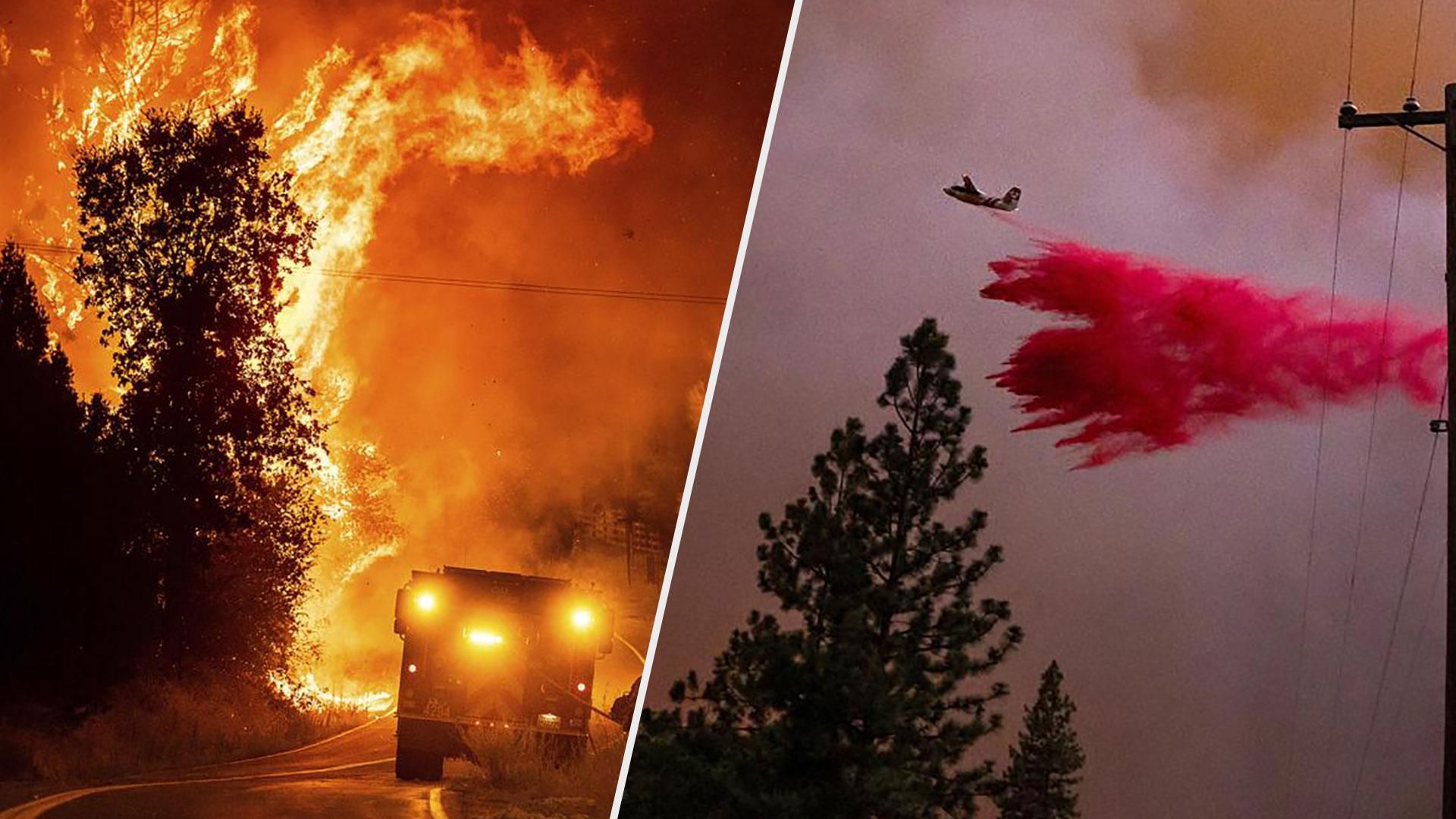 Пожежі у Каліфорнії сьогодні 24 липня 2022 - фото та відео