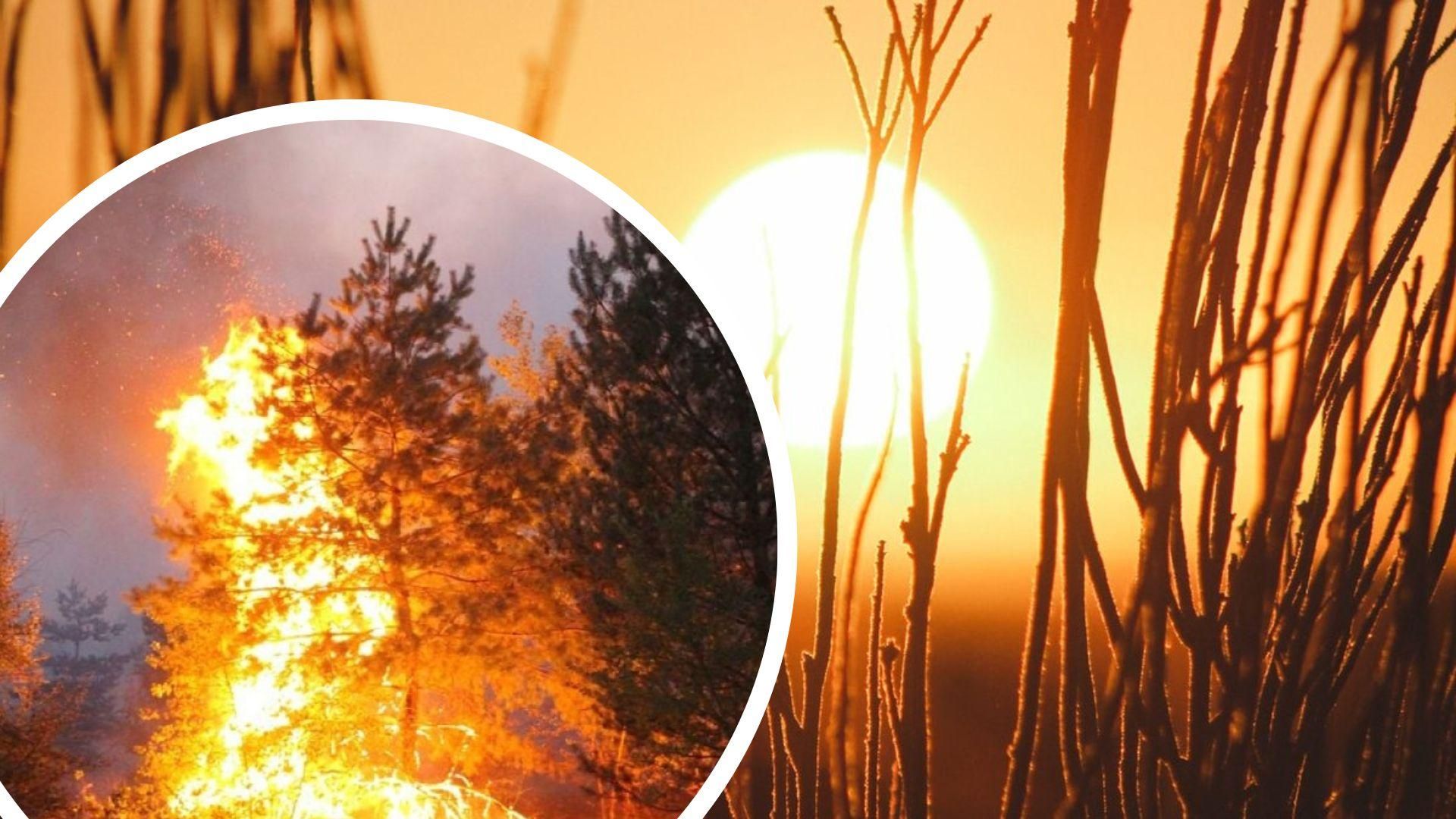 В Україні через сильну спеку можливі пожежі: у яких областях існує загроза 26 липня В Україні через сильну спеку можливі пожежі: у яких областях існує загроза 26 липня