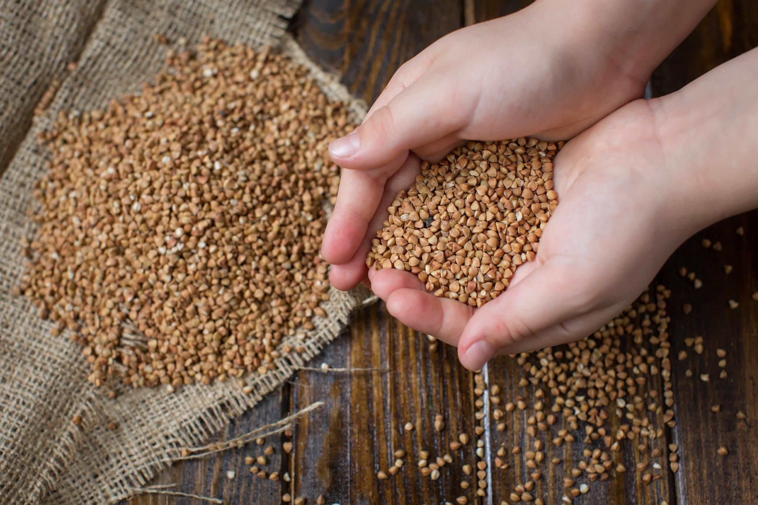 Как зерновое соглашение повлияет на цену злаковой культуры Как зерновое соглашение повлияет на цену злаковой культуры