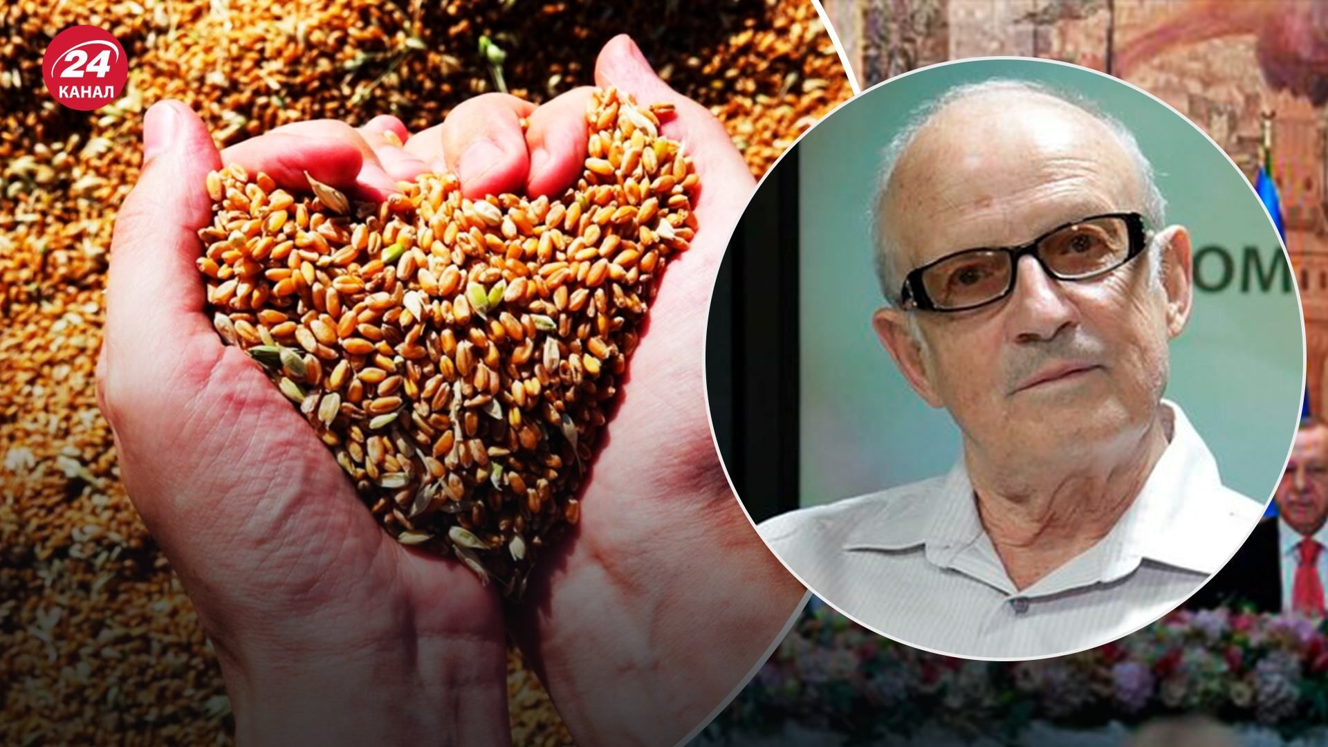 У чому вигода росії від зернових угод: думка Піонтковського У чому вигода росії від зернових угод: думка Піонтковського