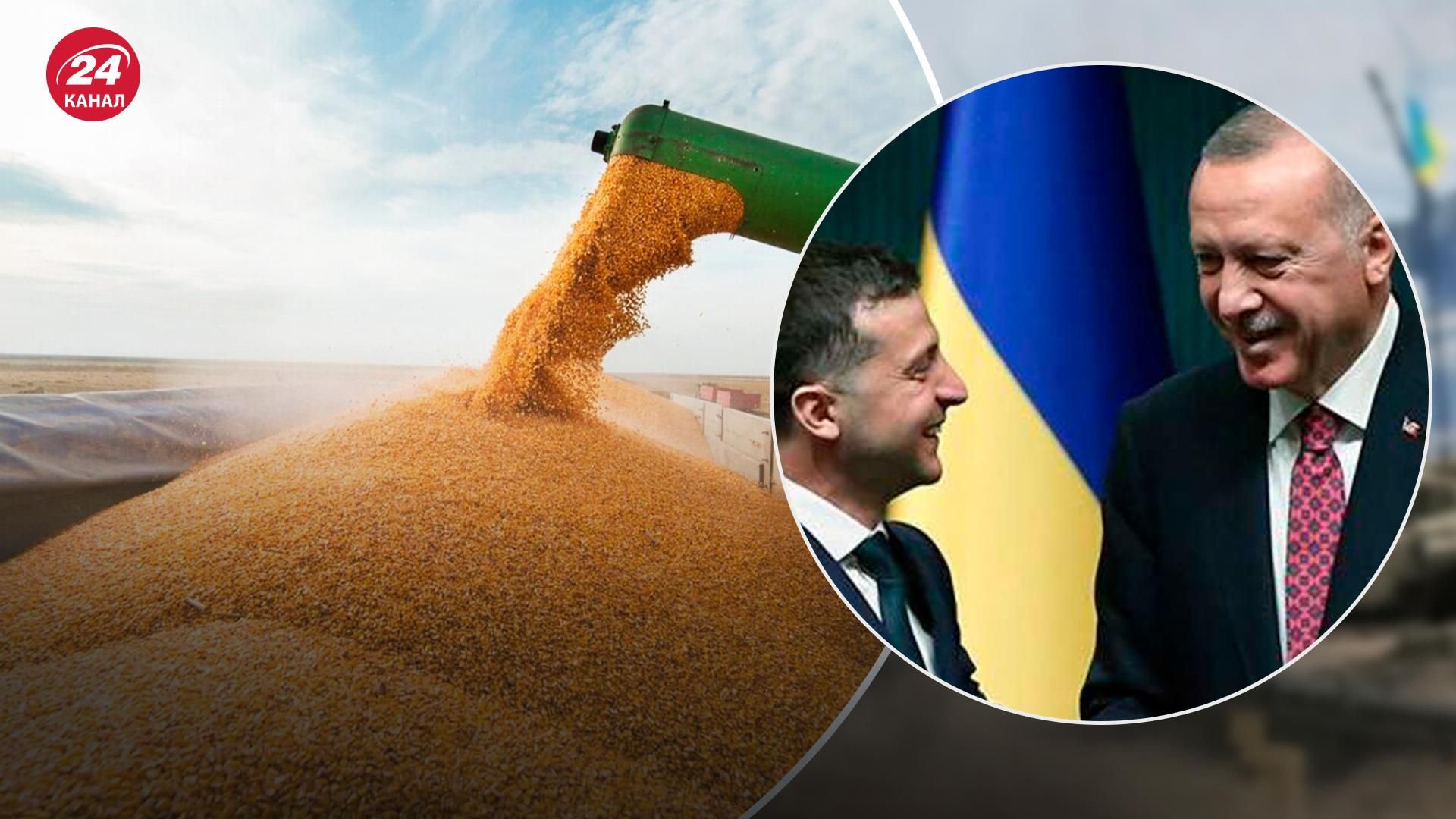 Піонтковський відповів, чи можуть українці довіряти Ердогану в питаннях зерна