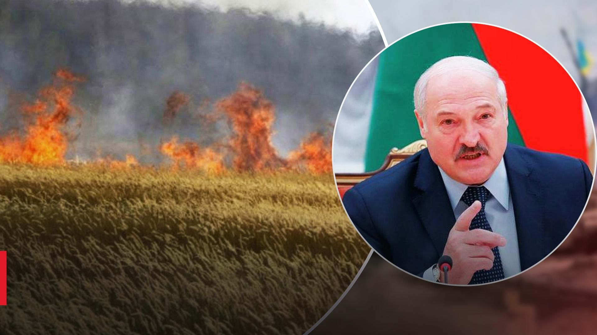 Лукашенко лжет, что Украина сама курит свои поля